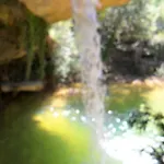 La Del Arba