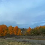 La Del Arba