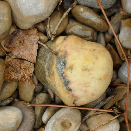 Séjour à la campagne La Del Arba El Frago