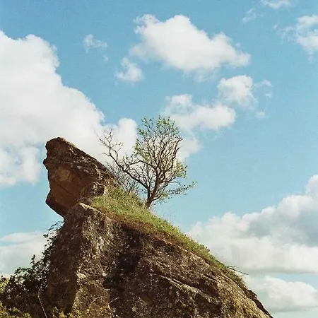 La Del Arba