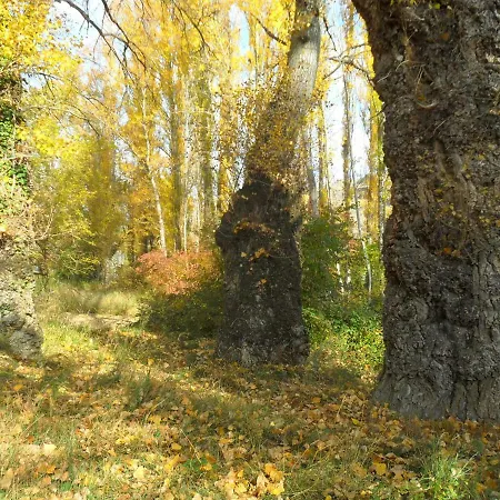 La Del Arba