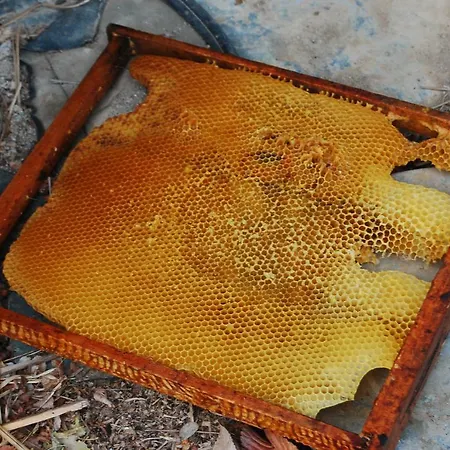 La Del Arba Séjour à la campagne