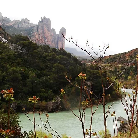 La Del Arba * El Frago