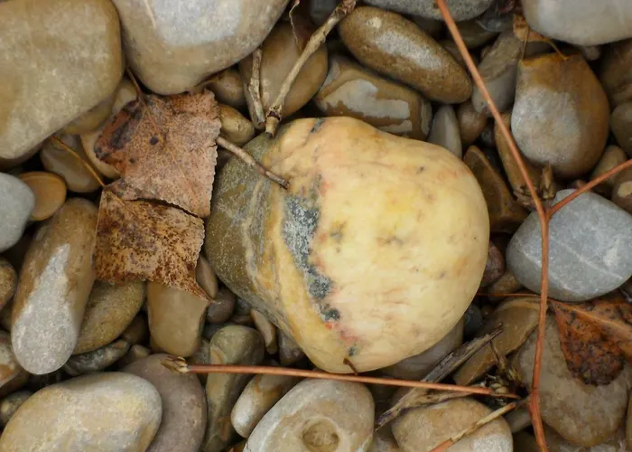 Lantställe La Del Arba El Frago