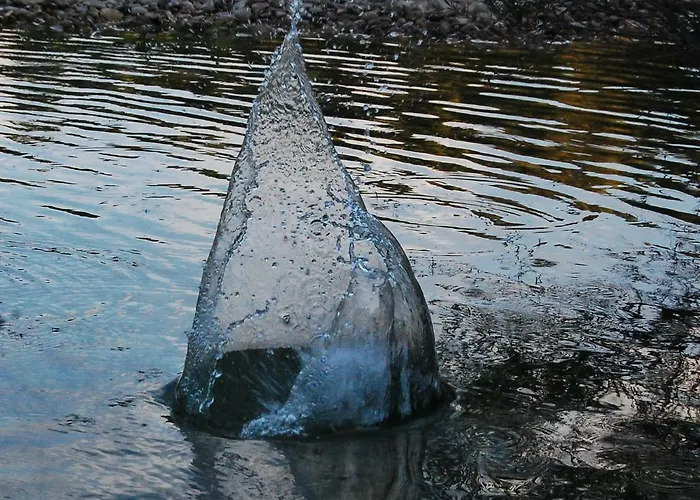 Lantställe La Del Arba El Frago
