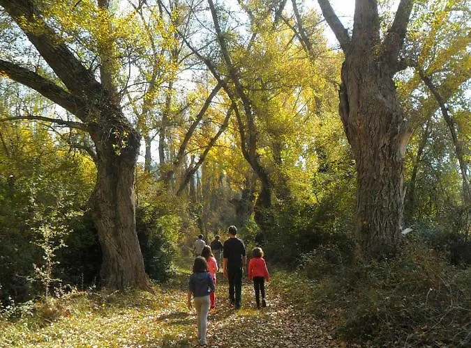La Del Arba * El Frago