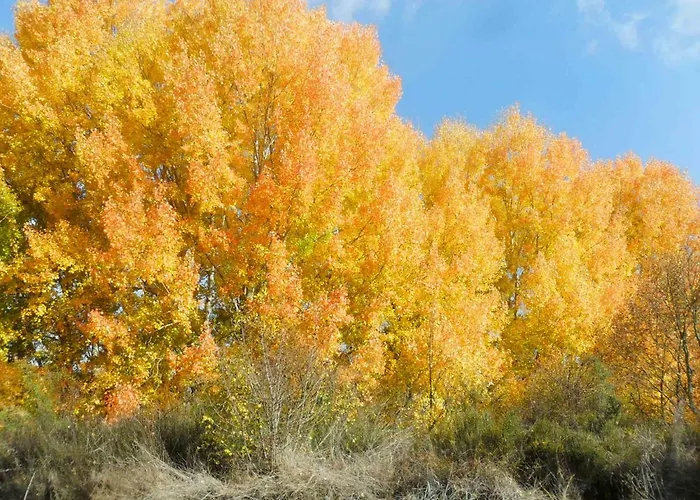 La Del Arba Lantställe